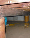Mold and rot thriving in a dirt floor crawl space in Baltimore