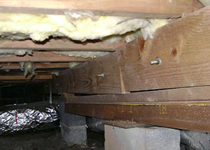 A sagging crawl space with concrete supports and wooden shimming a Westminster crawl space