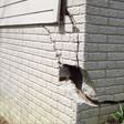 foundation walls cracked due to settlement in Baltimore